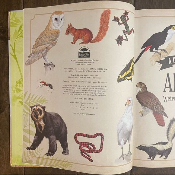 A Curious Collection of Animals Weird, Wonderful and Wild Children’s Book - Picture 3 of 4